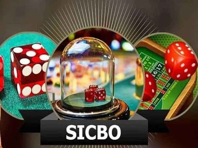 SicBo 8DAY: Bí Kíp Tham Gia Đỉnh Cao Cho Người Mới Bắt Đầu 2 SicBo 8DAY: Bí Kíp Tham Gia Đỉnh Cao Cho Người Mới Bắt Đầu